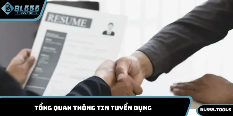 Tuyển Dụng BL555 - Cơ Hội Việc Làm Hấp Dẫn, Thưởng Hời 2 Tổng quan thông tin tuyển dụng BL555